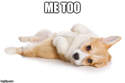 Give me a belly rub | ME TOO | image tagged in give me a belly rub | made w/ Imgflip meme maker