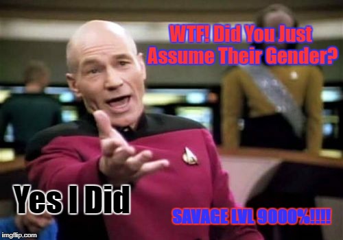 Picard Wtf | WTF! Did You Just Assume Their Gender? Yes I Did; SAVAGE LVL 9000%!!!! | image tagged in memes,picard wtf | made w/ Imgflip meme maker