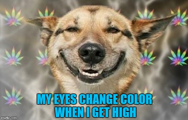 MY EYES CHANGE COLOR WHEN I GET HIGH | made w/ Imgflip meme maker