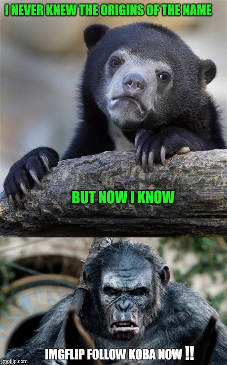 The origins of the username. I never knew!! Props to apesfollowkoba. | I NEVER KNEW THE ORIGINS OF THE NAME; BUT NOW I KNOW; !! | image tagged in apesfollowkoba,planet of the apes,username | made w/ Imgflip meme maker