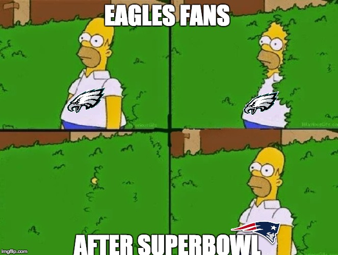 HOMER BUSH | EAGLES FANS; AFTER SUPERBOWL | image tagged in homer bush | made w/ Imgflip meme maker