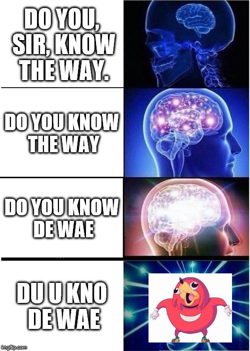 Expanding Brain | DO YOU, SIR, KNOW THE WAY. DO YOU KNOW THE WAY; DO YOU KNOW DE WAE; DU U KNO DE WAE | image tagged in memes,expanding brain | made w/ Imgflip meme maker