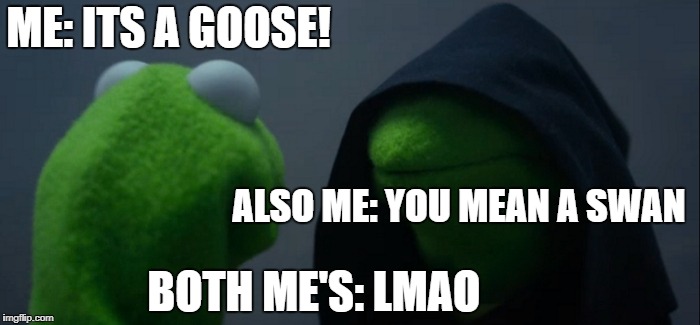 Evil Kermit | ME: ITS A GOOSE! ALSO ME: YOU MEAN A SWAN; BOTH ME'S: LMAO | image tagged in memes,evil kermit | made w/ Imgflip meme maker