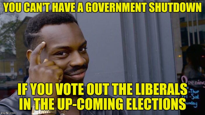 Roll Safe Think About It | YOU CAN'T HAVE A GOVERNMENT SHUTDOWN; IF YOU VOTE OUT THE LIBERALS IN THE UP-COMING ELECTIONS | image tagged in memes,roll safe think about it | made w/ Imgflip meme maker