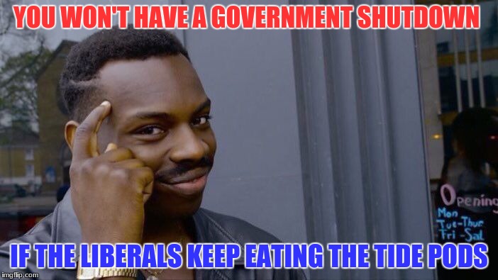 Roll Safe Think About It | YOU WON'T HAVE A GOVERNMENT SHUTDOWN; IF THE LIBERALS KEEP EATING THE TIDE PODS | image tagged in memes,roll safe think about it | made w/ Imgflip meme maker