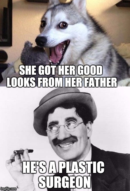 Bad Pun Dog and Groucho | SHE GOT HER GOOD LOOKS FROM HER FATHER; HE'S A PLASTIC SURGEON | image tagged in bad pun dog and groucho,bad pun dog,groucho marx,memes | made w/ Imgflip meme maker