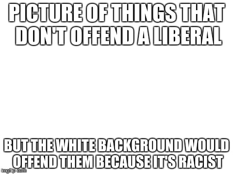 Blank White Template |  PICTURE OF THINGS THAT DON'T OFFEND A LIBERAL; BUT THE WHITE BACKGROUND WOULD OFFEND THEM BECAUSE IT'S RACIST | image tagged in blank white template | made w/ Imgflip meme maker
