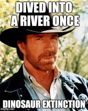 Hoping it will never happen again | DIVED INTO A RIVER ONCE; DINOSAUR EXTINCTION | image tagged in chuck norris | made w/ Imgflip meme maker