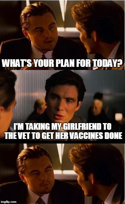 Inception Meme | WHAT'S YOUR PLAN FOR TODAY? I'M TAKING MY GIRLFRIEND TO THE VET TO GET HER VACCINES DONE | image tagged in memes,inception | made w/ Imgflip meme maker