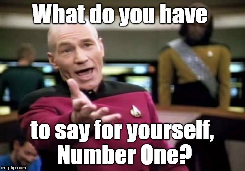 Picard Wtf Meme | What do you have to say for yourself, Number One? | image tagged in memes,picard wtf | made w/ Imgflip meme maker