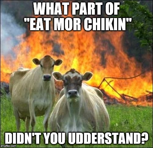 Evil Cows Meme | WHAT PART OF "EAT MOR CHIKIN"; DIDN'T YOU UDDERSTAND? | image tagged in memes,evil cows | made w/ Imgflip meme maker