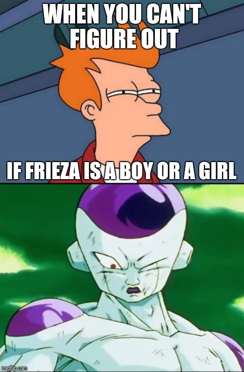 Boy or girl | WHEN YOU CAN'T FIGURE OUT; IF FRIEZA IS A BOY OR A GIRL | image tagged in futurama fry | made w/ Imgflip meme maker