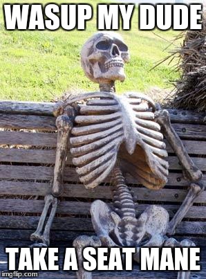 Waiting Skeleton Meme | WASUP MY DUDE; TAKE A SEAT MANE | image tagged in memes,waiting skeleton | made w/ Imgflip meme maker