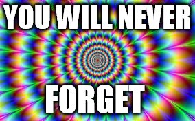 So... Hypnotizing.. | YOU WILL NEVER; FORGET | image tagged in so hypnotizing | made w/ Imgflip meme maker