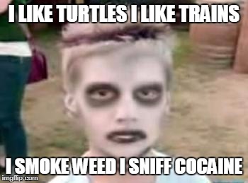 I like turtles | I LIKE TURTLES I LIKE TRAINS; I SMOKE WEED I SNIFF COCAINE | image tagged in i like turtles | made w/ Imgflip meme maker