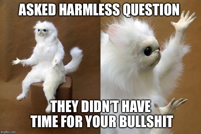 Persian Cat Room Guardian Meme | ASKED HARMLESS QUESTION; THEY DIDN’T HAVE TIME FOR YOUR BULLSHIT | image tagged in memes,persian cat room guardian | made w/ Imgflip meme maker