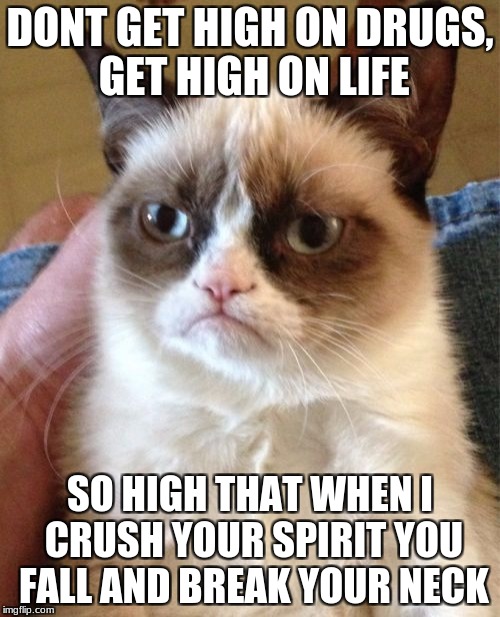 Grumpy Cat | DONT GET HIGH ON DRUGS, GET HIGH ON LIFE; SO HIGH THAT WHEN I CRUSH YOUR SPIRIT YOU FALL AND BREAK YOUR NECK | image tagged in memes,grumpy cat | made w/ Imgflip meme maker