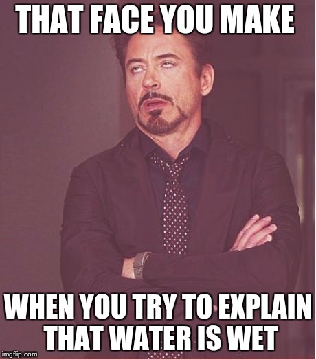 Face You Make Robert Downey Jr Meme | THAT FACE YOU MAKE; WHEN YOU TRY TO EXPLAIN THAT WATER IS WET | image tagged in memes,face you make robert downey jr | made w/ Imgflip meme maker