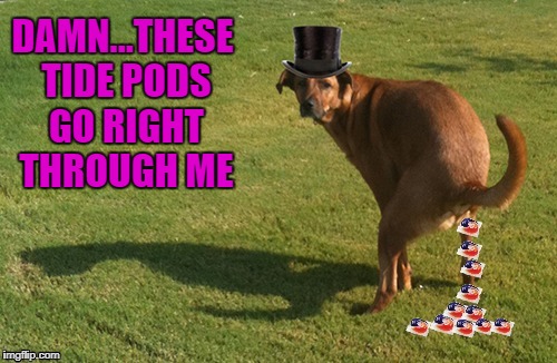 That's one way to cleanse your colon!!! | DAMN...THESE TIDE PODS GO RIGHT THROUGH ME | image tagged in dog pooping tide pods,memes,tide pods,funny,dogs,animals | made w/ Imgflip meme maker
