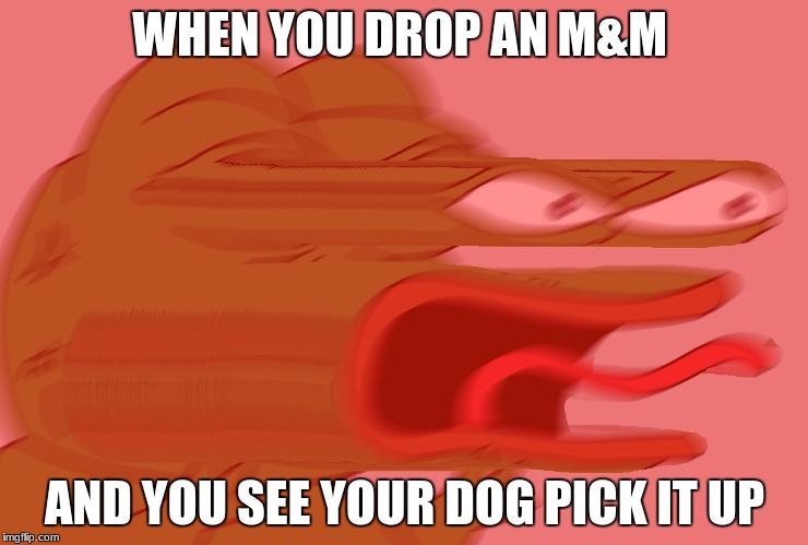 WHEN YOU DROP AN M&M; AND YOU SEE YOUR DOG PICK IT UP | image tagged in funny memes,pepe the frog | made w/ Imgflip meme maker