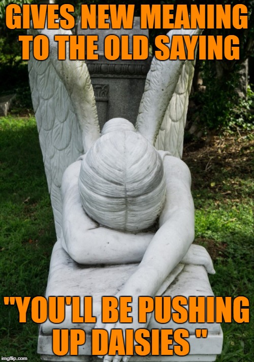 GIVES NEW MEANING TO THE OLD SAYING "YOU'LL BE PUSHING UP DAISIES " | made w/ Imgflip meme maker