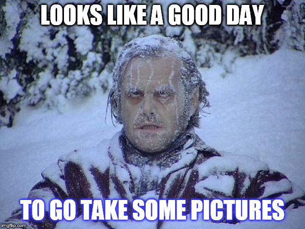 Jack Nicholson The Shining Snow Meme | LOOKS LIKE A GOOD DAY; TO GO TAKE SOME PICTURES | image tagged in memes,jack nicholson the shining snow | made w/ Imgflip meme maker