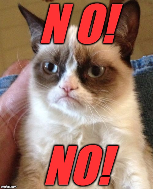 Grumpy Cat Meme | N O! NO! | image tagged in memes,grumpy cat | made w/ Imgflip meme maker