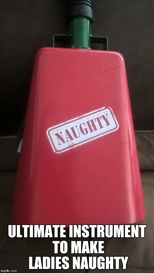 Naughty Instrument | ULTIMATE INSTRUMENT TO MAKE LADIES NAUGHTY | image tagged in naughty girl | made w/ Imgflip meme maker
