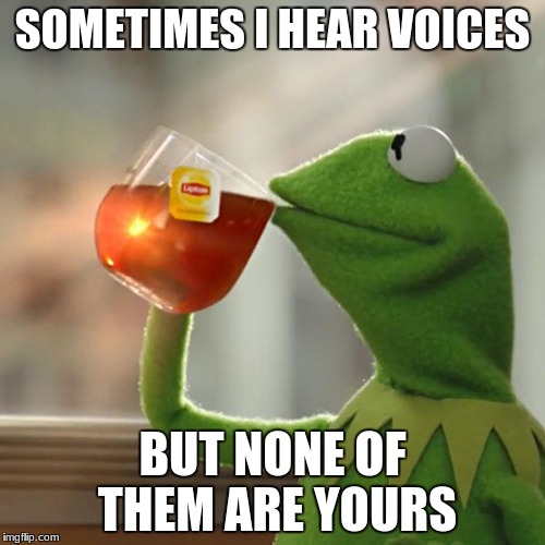 But That's None Of My Business Meme | SOMETIMES I HEAR VOICES; BUT NONE OF THEM ARE YOURS | image tagged in memes,but thats none of my business,kermit the frog | made w/ Imgflip meme maker