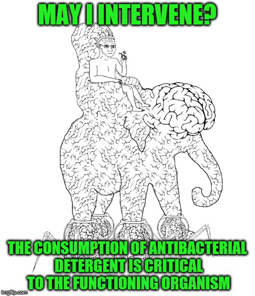 MAY I INTERVENE? THE CONSUMPTION OF ANTIBACTERIAL DETERGENT IS CRITICAL TO THE FUNCTIONING ORGANISM | made w/ Imgflip meme maker