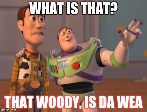 
 | WHAT IS THAT? THAT WOODY, IS DA WEA | image tagged in memes,x x everywhere | made w/ Imgflip meme maker