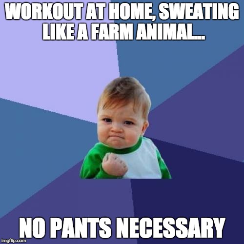 Success Kid Meme | WORKOUT AT HOME, SWEATING LIKE A FARM ANIMAL... NO PANTS NECESSARY | image tagged in memes,success kid | made w/ Imgflip meme maker