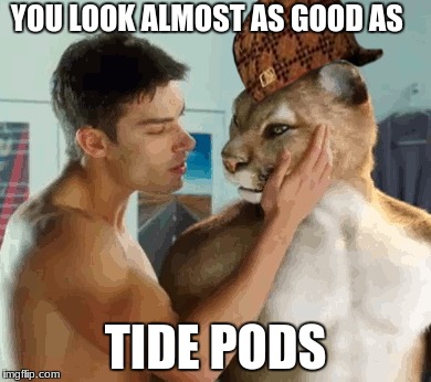 TIDE PODS!!! | YOU LOOK ALMOST AS GOOD AS; TIDE PODS | image tagged in funny | made w/ Imgflip meme maker