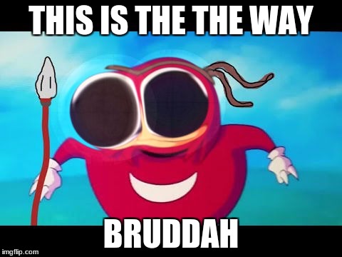 THIS IS THE THE WAY; BRUDDAH | image tagged in funny memes,ugandan knuckles | made w/ Imgflip meme maker