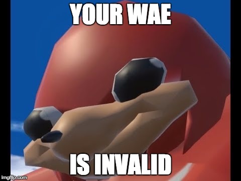 your wae is not de wae | YOUR WAE; IS INVALID | image tagged in ugandan knuckles | made w/ Imgflip meme maker