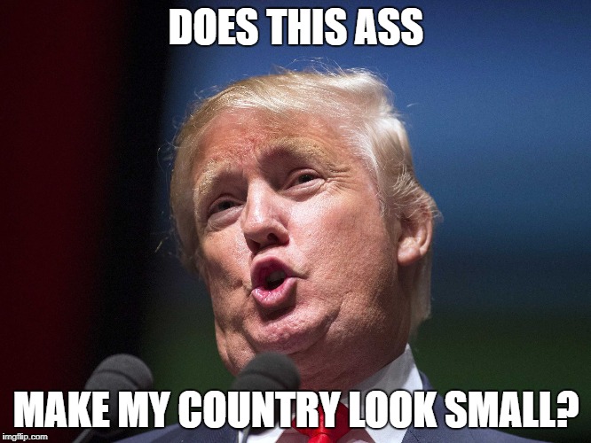 donald trump huge | DOES THIS ASS; MAKE MY COUNTRY LOOK SMALL? | image tagged in donald trump,trump,president,idiot president,oval office,administration | made w/ Imgflip meme maker