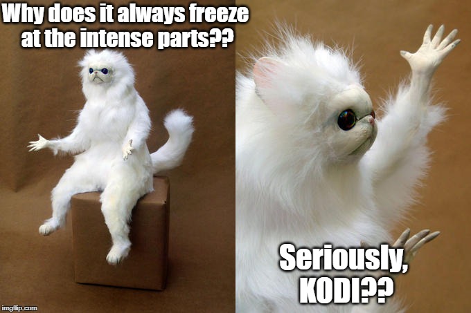 I appreciate not having to pay for this cool service, but come on now! | Why does it always freeze at the intense parts?? Seriously, KODI?? | image tagged in memes,persian cat room guardian | made w/ Imgflip meme maker