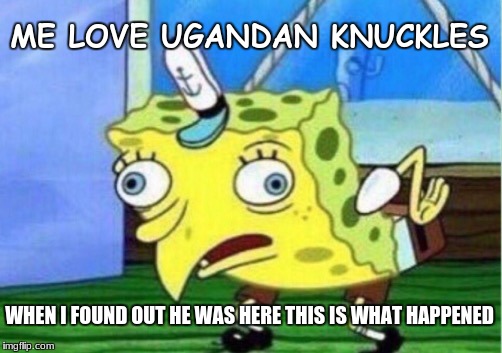 Mocking Spongebob | ME LOVE UGANDAN KNUCKLES; WHEN I FOUND OUT HE WAS HERE THIS IS WHAT HAPPENED | image tagged in memes,mocking spongebob | made w/ Imgflip meme maker