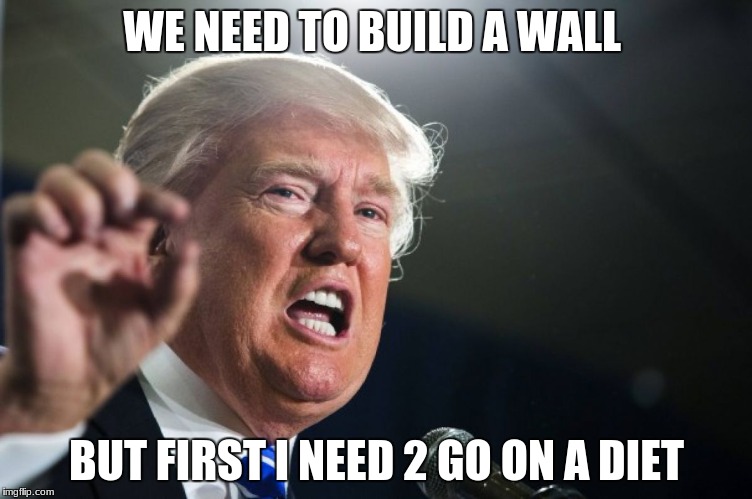 donald trump | WE NEED TO BUILD A WALL; BUT FIRST I NEED 2 GO ON A DIET | image tagged in donald trump | made w/ Imgflip meme maker