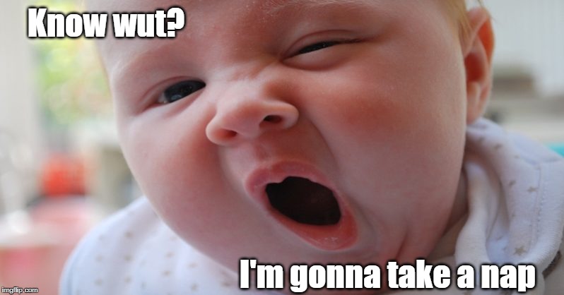 Yawn | Know wut? I'm gonna take a nap | image tagged in yawn | made w/ Imgflip meme maker