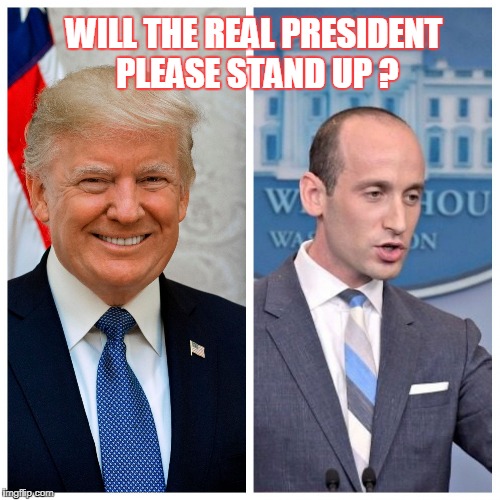 WILL THE REAL PRESIDENT PLEASE STAND UP ? | image tagged in donald trump | made w/ Imgflip meme maker
