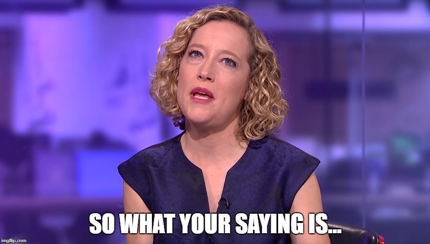 SO WHAT YOUR SAYING IS... | image tagged in jordan peterson,kathy newman,feminism,sjw | made w/ Imgflip meme maker