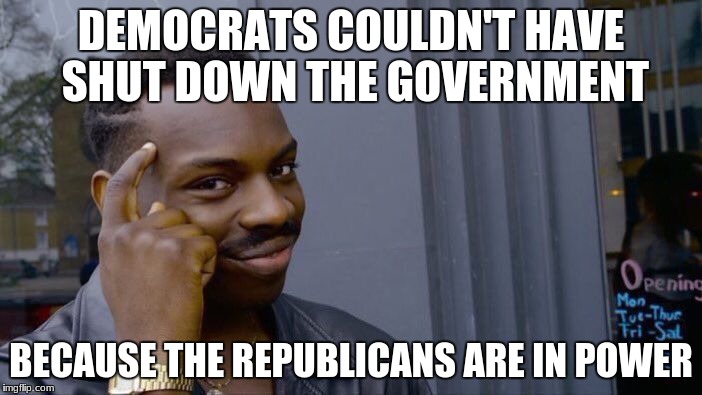 Think About It | DEMOCRATS COULDN'T HAVE SHUT DOWN THE GOVERNMENT; BECAUSE THE REPUBLICANS ARE IN POWER | image tagged in memes,roll safe think about it,democrats,government shutdown | made w/ Imgflip meme maker