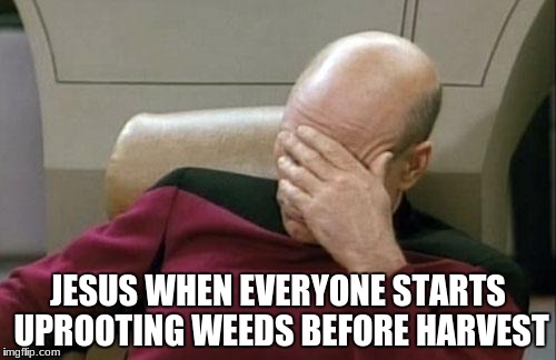 Captain Picard Facepalm Meme | JESUS WHEN EVERYONE STARTS UPROOTING WEEDS BEFORE HARVEST | image tagged in memes,captain picard facepalm | made w/ Imgflip meme maker