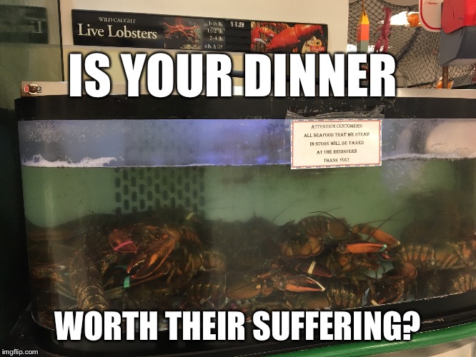 IS YOUR DINNER; WORTH THEIR SUFFERING? | image tagged in lobster,global warming,climate change,peta,vegans do everthing better even fart,fishing | made w/ Imgflip meme maker