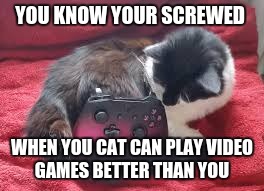 cat | YOU KNOW YOUR SCREWED; WHEN YOU CAT CAN PLAY VIDEO GAMES BETTER THAN YOU | image tagged in humor | made w/ Imgflip meme maker