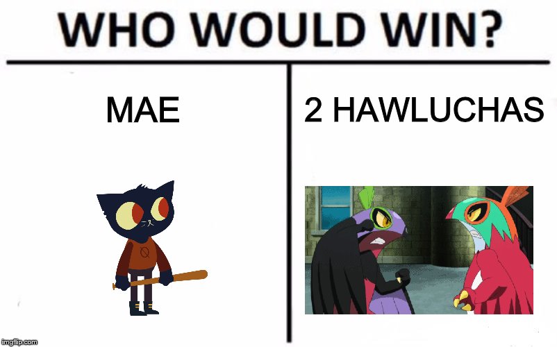 WHO WOULD WIN? | MAE; 2 HAWLUCHAS | image tagged in memes,who would win,night in the woods,pokemon | made w/ Imgflip meme maker