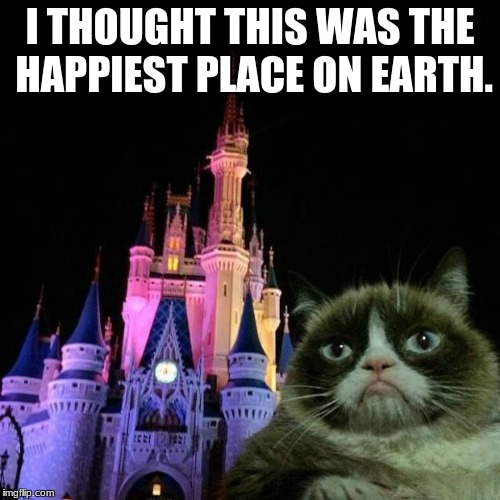 Grumpy Cat Disneyland castle | I THOUGHT THIS WAS THE HAPPIEST PLACE ON EARTH. | image tagged in grumpy cat disneyland castle | made w/ Imgflip meme maker