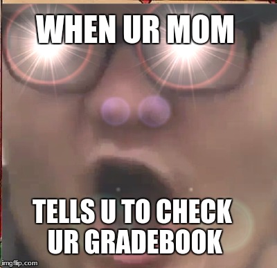 When ur mom... | WHEN UR MOM; TELLS U TO CHECK UR GRADEBOOK | image tagged in meme | made w/ Imgflip meme maker