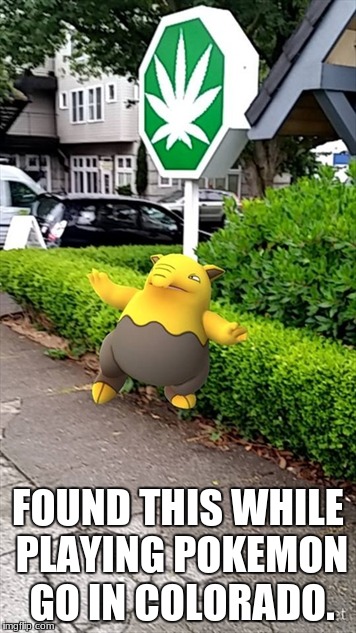 FOUND THIS WHILE PLAYING POKEMON GO IN COLORADO. | image tagged in pokemon | made w/ Imgflip meme maker